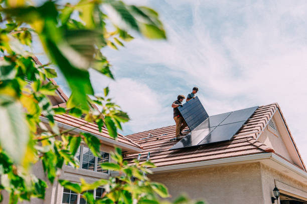 Best Roof Moss and Algae Removal  in Mount Gilead, OH